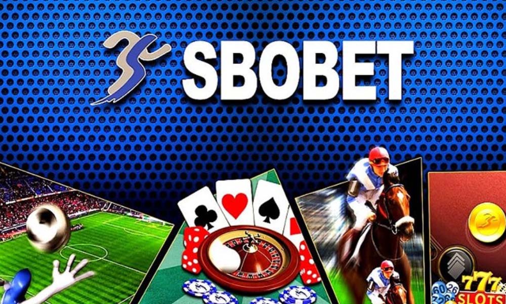 Sbobet Luck8